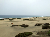 Maspalomas