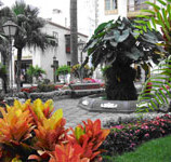 Tenerife Puerto de la Cruz Centro