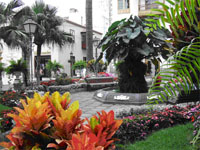 Tenerife Puerto de la Cruz Centro
