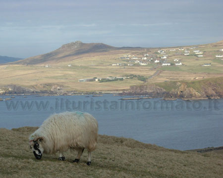 campagna irlandese campagna irlandese