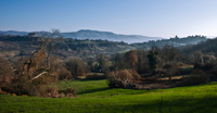 Campagna di Proceno