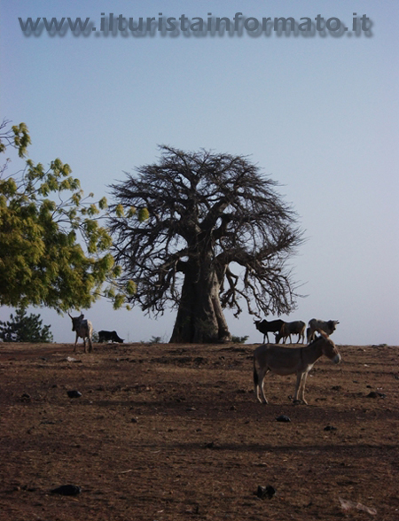 Burkina Faso paesaggio