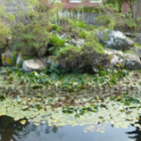 Gran Canaria Giardino Botanico