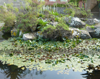 Gran Canaria Giardino Botanico