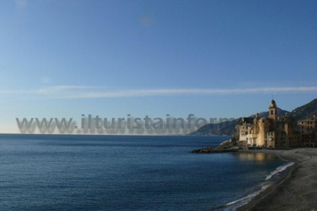 mare di camogli