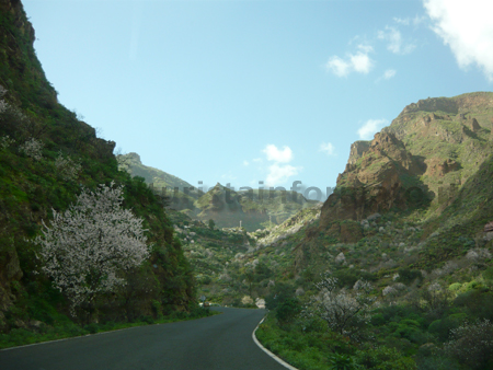 Gran Canaria Barranco de Guayadeque