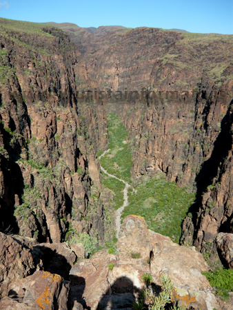 Gran Canaria barranco