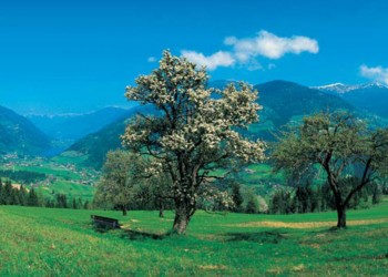 Austria paesaggio Austria paesaggio