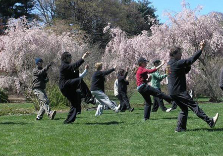 Tai chi nel parco