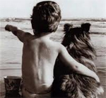 Cani e bambini in spiaggia