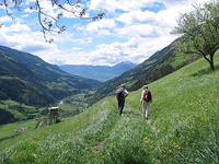 Maj trekking