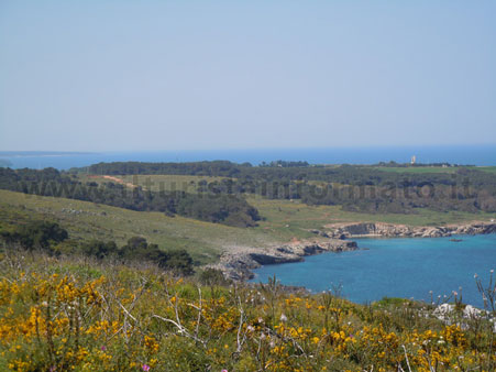 orte otranto