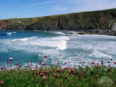 Pembroke Shire National Park Fishguard