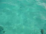 Comino acqua cristallina