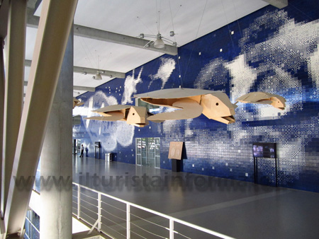 Interno dell'Oceanario Interno dell'Oceanario