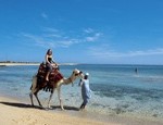 Berenice in Egitto (Fonte Flickr: goredsea)