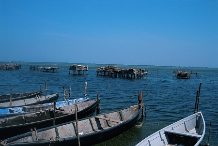 Lago di Lesina (Costa nord del Gargano) Lago di Lesina - Gargano - Puglia