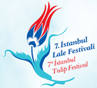 istanbul tulipano