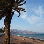 Dahab