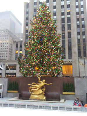 New York New York