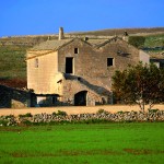 Altamura Masseria Pontrelli