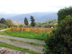 Paesaggio toscano