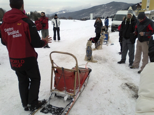 Sleddog