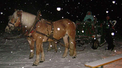 Carrozza trainata da cavalli