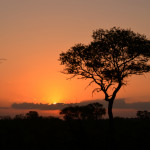 Tramonto nella savana