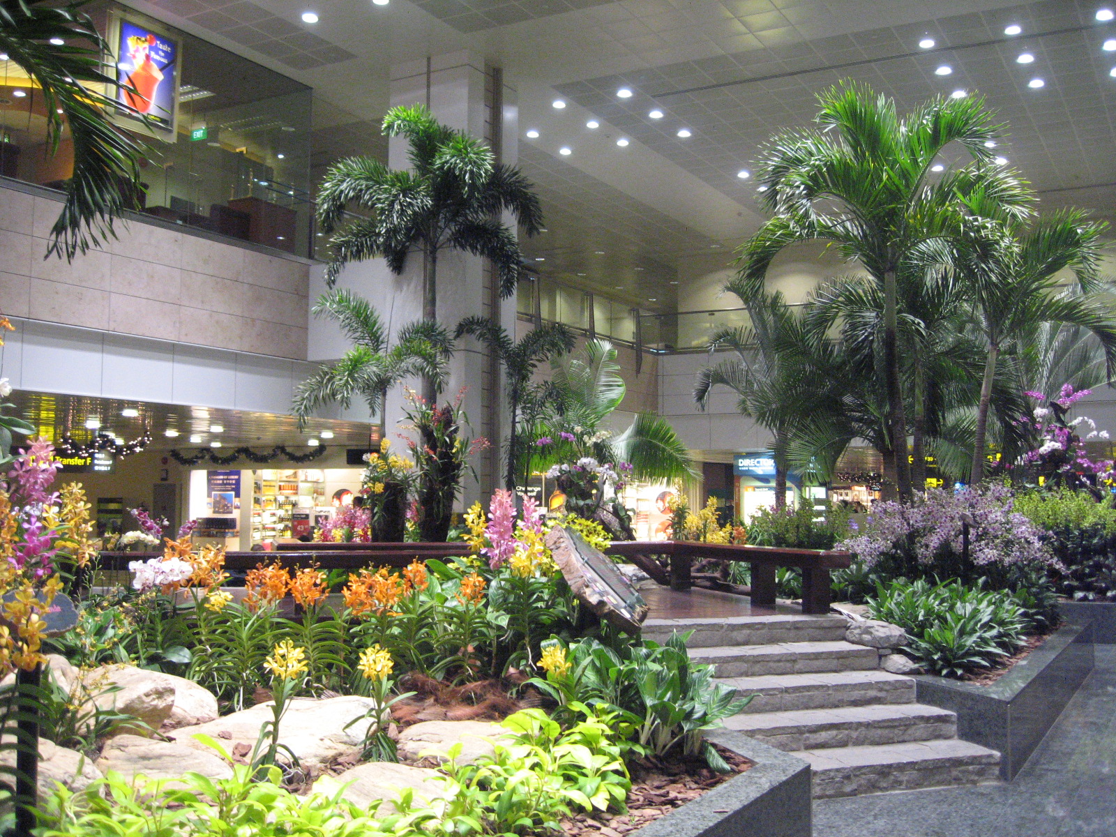 Giardino nel Terminal 2