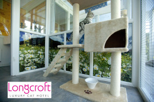 Longcroft
