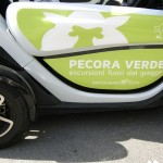 Pecora Verde