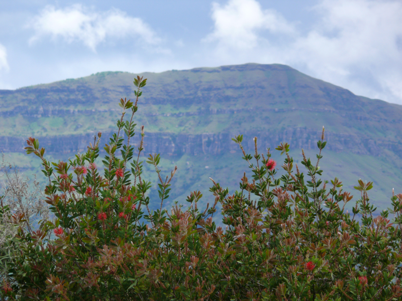 Drakensberg Mountains