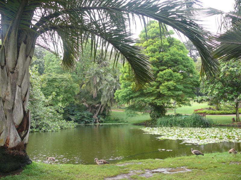 Durban giardino botanico