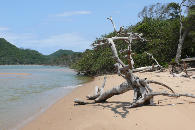Kosi Bay Mouth