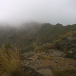Freddo a Tenerife