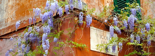 Vicolo del Piede Vicolo del Piede