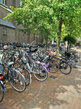 IMG_20140812_135840