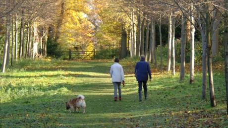 Passeggiare con il cane