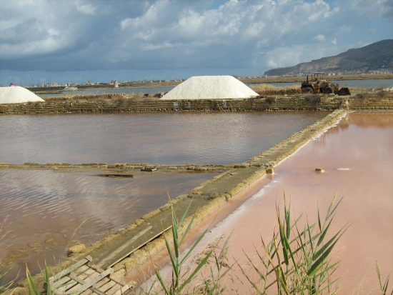 Saline di Trapani