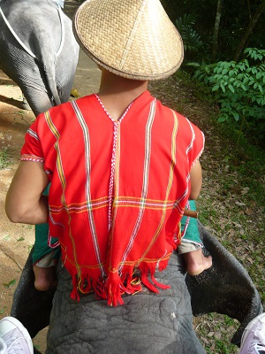 Elefantata Thailandia