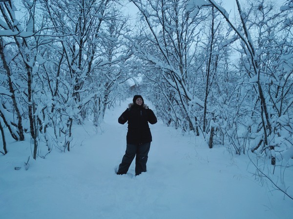 passeggiata-nel-bosco-abisko