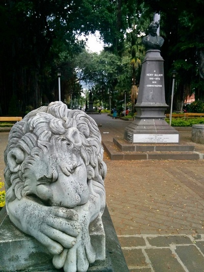 Cosa vedere a Port Louis - Jardins de la Compagnie