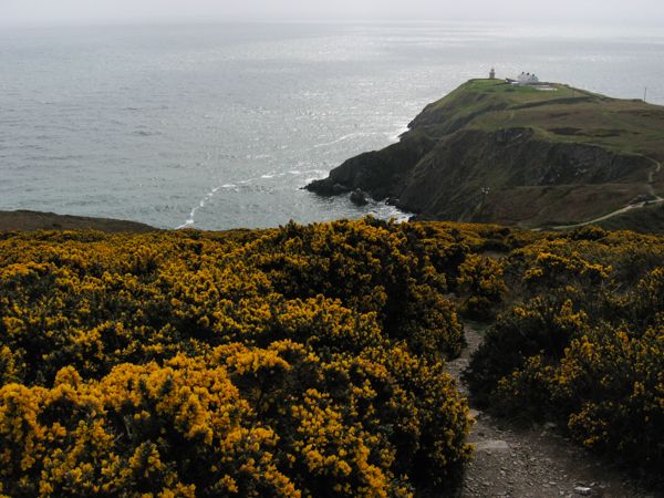 Howth scogliera