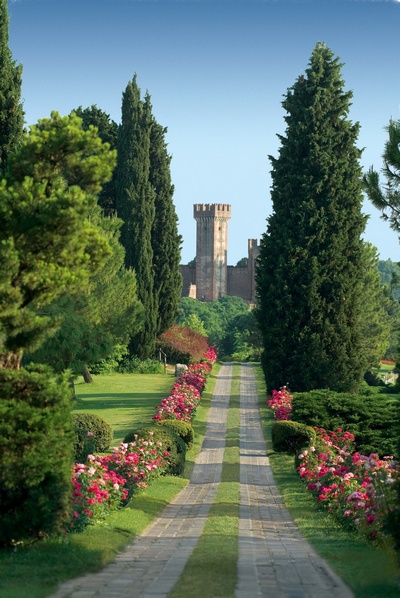 Viale delle Rose