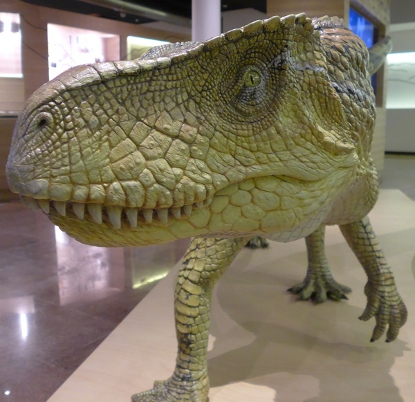 Museo Geologico delle dolomiti