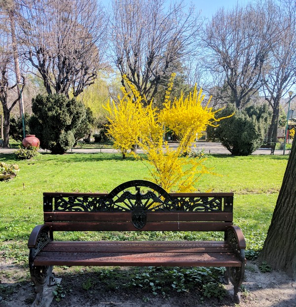 Parcul Cismigiu