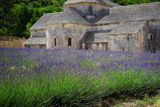 viaggio in Provenza