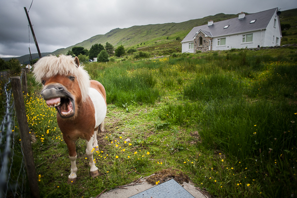 Contea di Donegal
